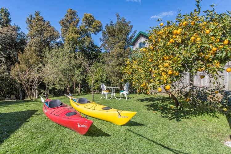 15 Ivy Place Birkdale_8