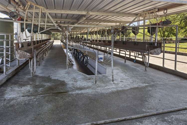 57 Hall Road Hikuai_6