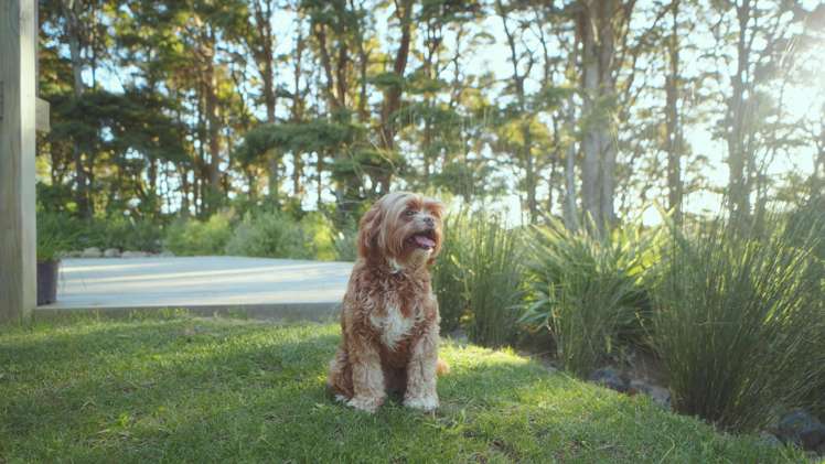 629E Tara Road Mangawhai_28