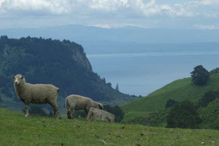 269 Whakaroa Road Kinloch_11