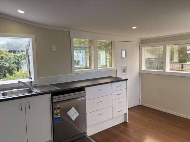 32 Bignell Street Gonville_3