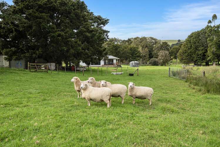 27 Hodge Road Ruatangata West_16