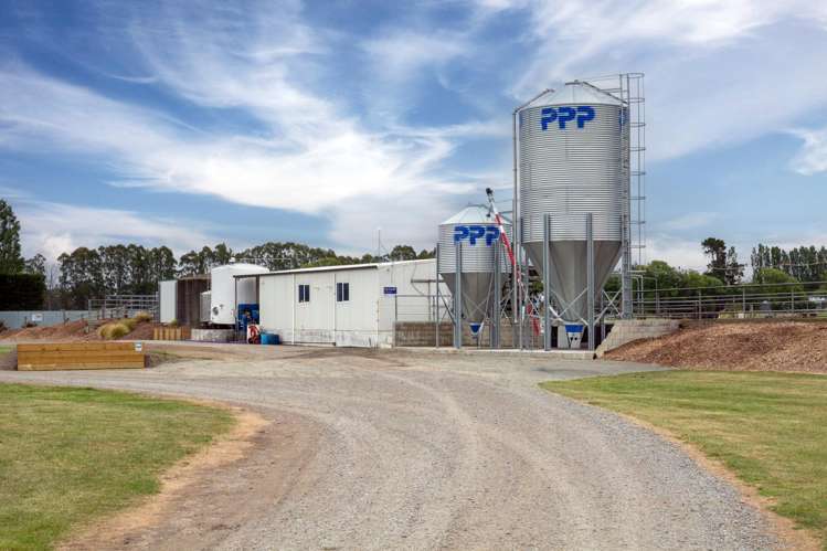 94 Brogdens Road Lowcliffe_13