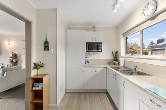 161B Edinburgh Street Pukekohe_3