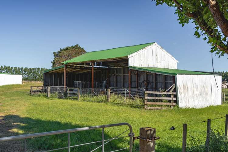 89 No 1 Line Tauwharenikau_25