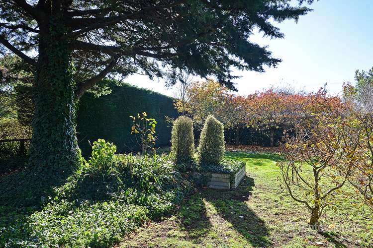 72 Woodward Street Featherston_11