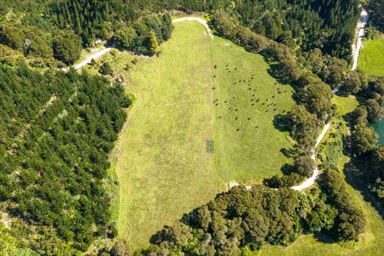 720 State Highway 33 Paengaroa_26