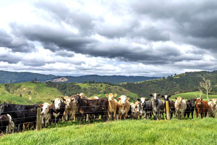 636 Otara Road Opotiki_5