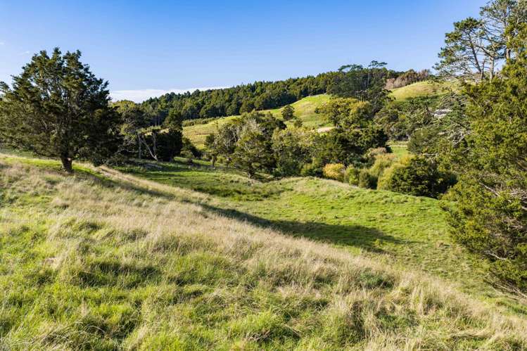 573 Valley Road Kaiwaka_15