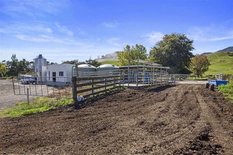 57 Hall Road Hikuai_14