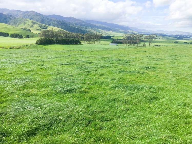 1550 Top Grass Road Rangitikei Surrounds_8
