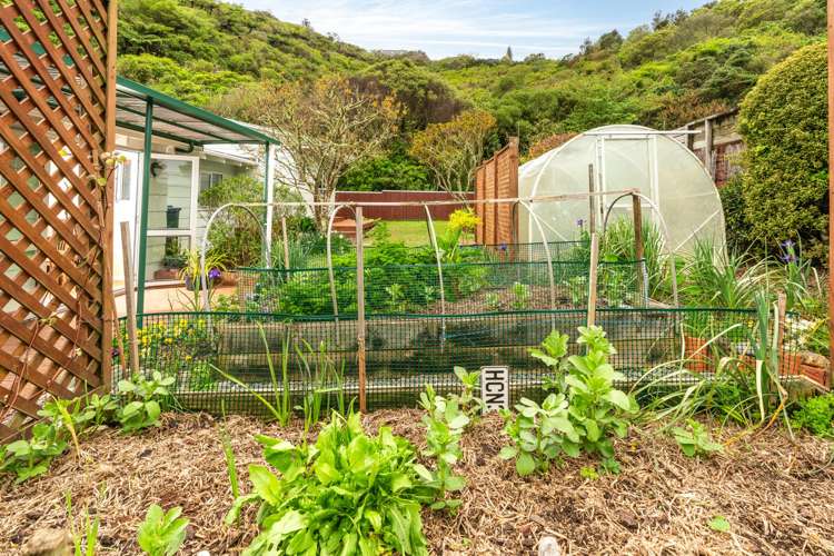 12 Fiona Grove Karori_12