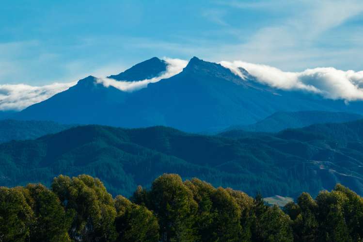 2376 State Highway 63 Wairau Valley_29