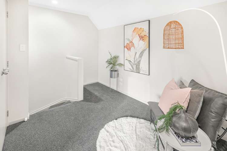 219d Peachgrove Road Claudelands_10