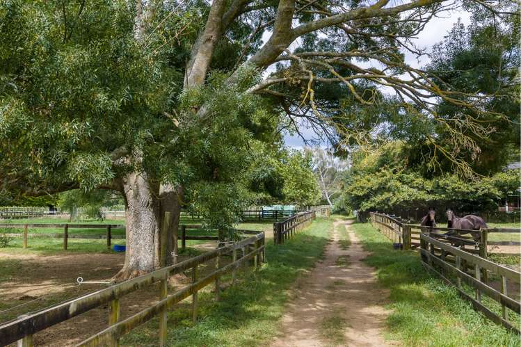 59 Fuchsia Lane Tamahere_21