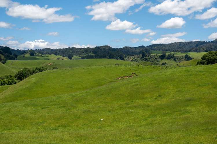 286 Jay Road Reporoa and Surrounds_12