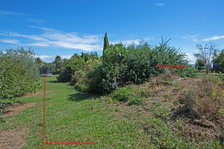 1/308f Sea View Road Ostend_14