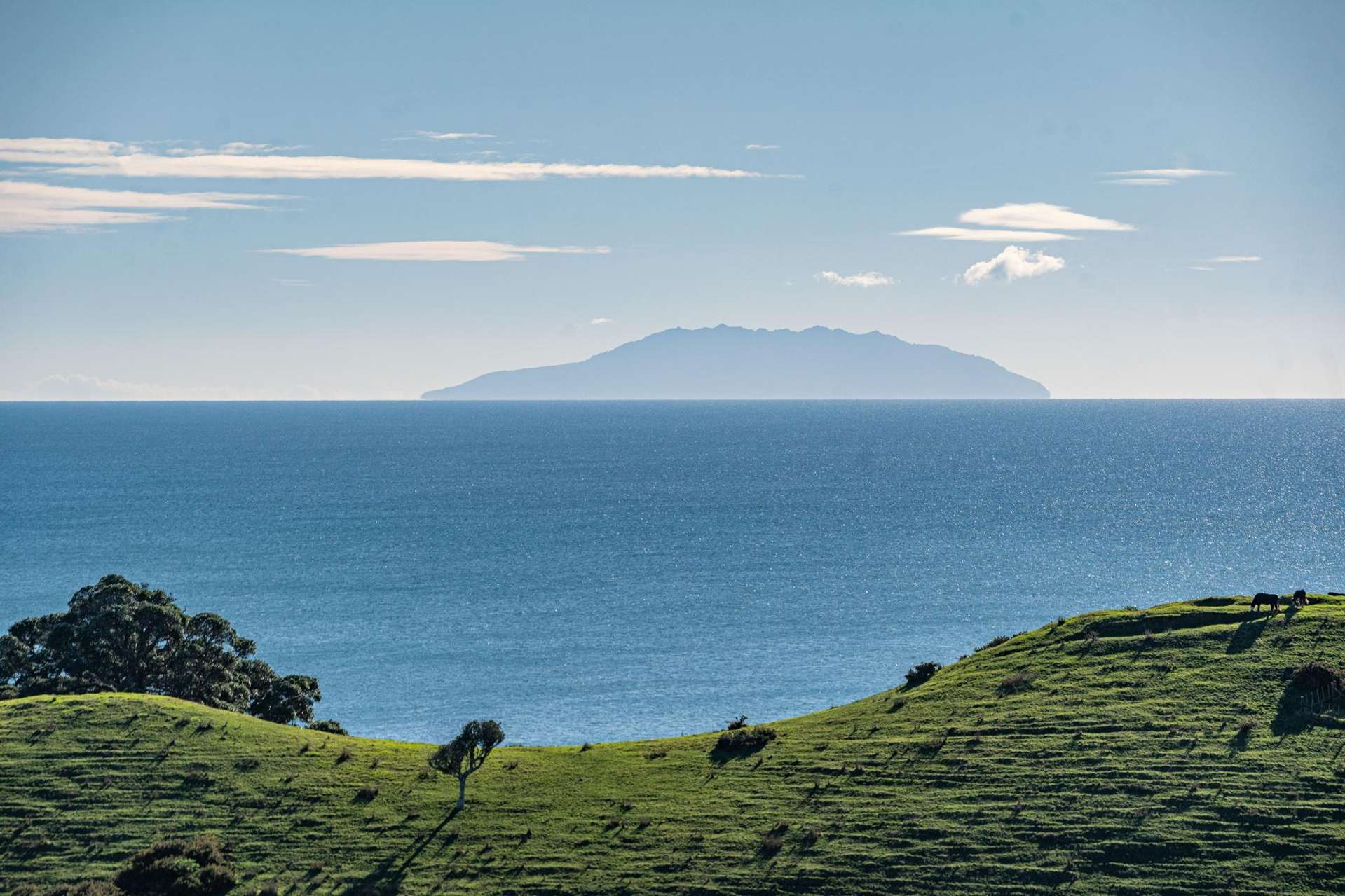 306 Sea View Road - Wawata Estate Waiheke Island_0