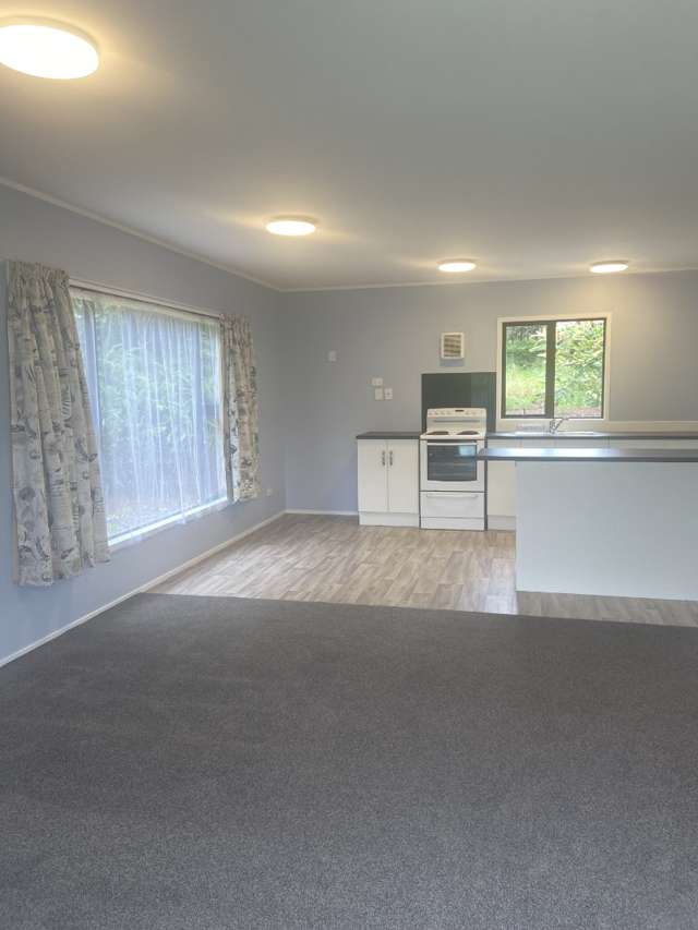 1313A State Highway 10 10334_4