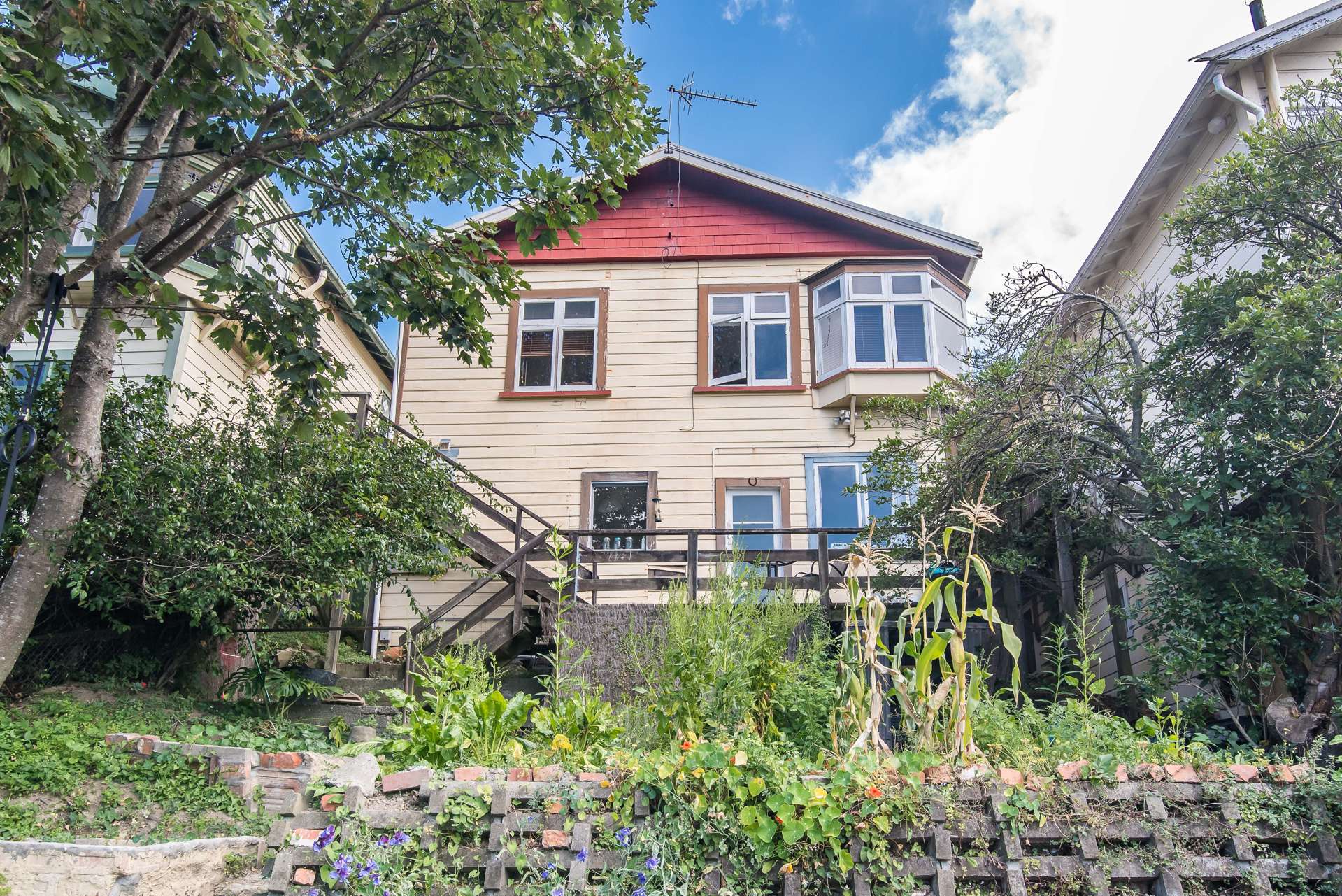 309 Adelaide Road Newtown_0