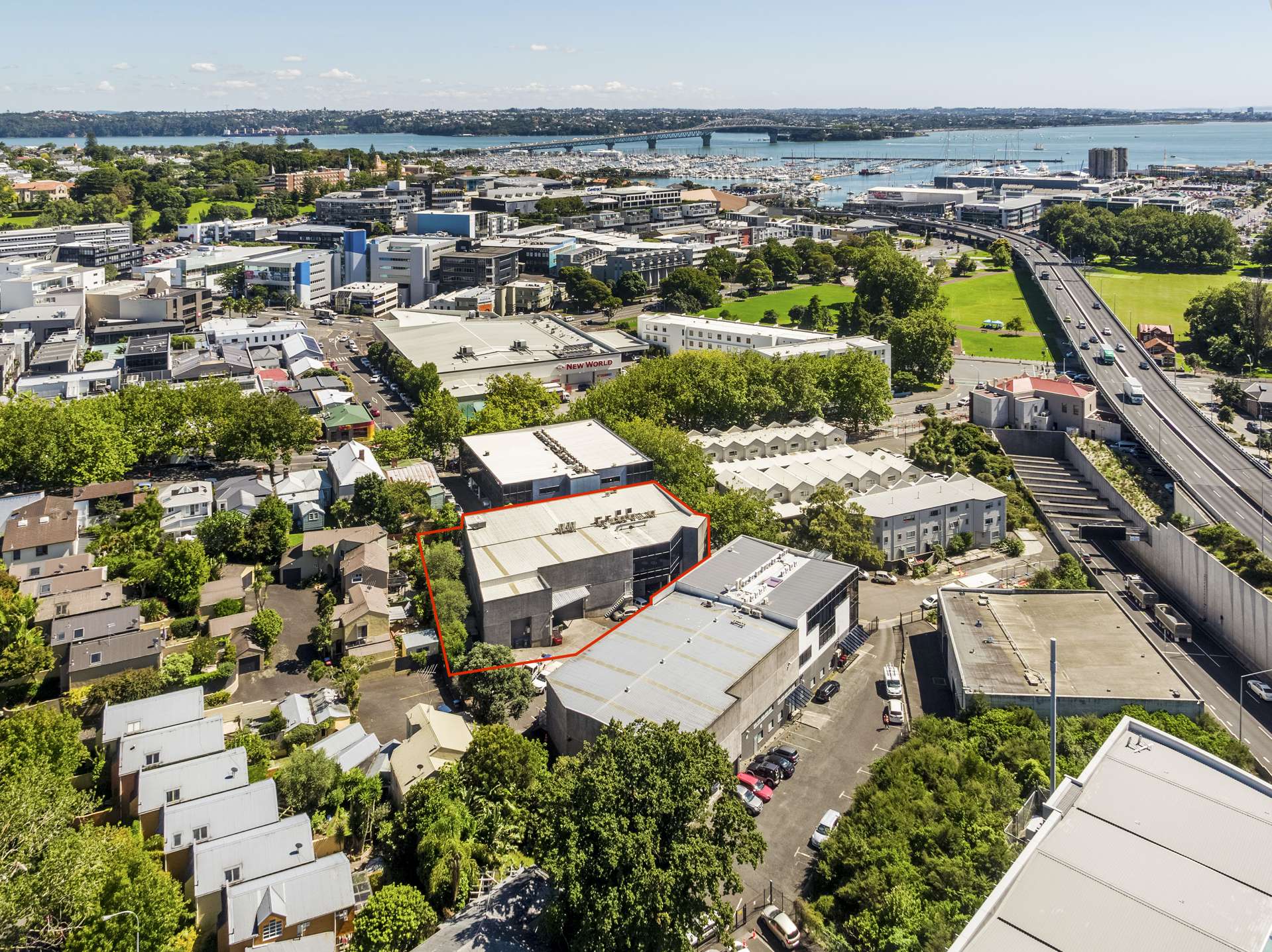 5 Wilkins Street Freemans Bay_0