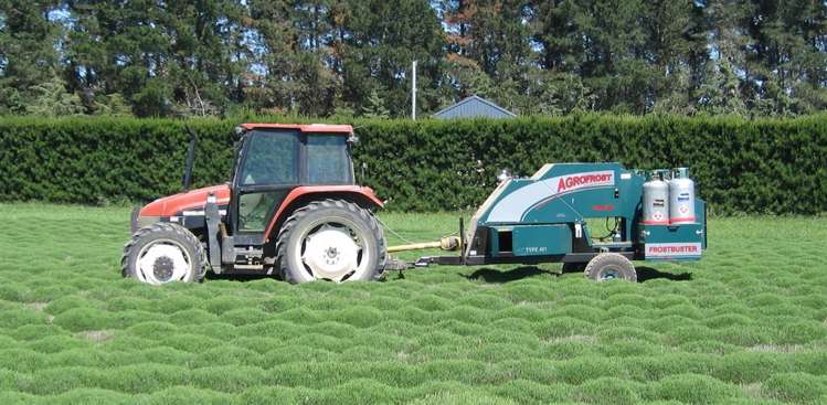 226 College Road Bankside_8