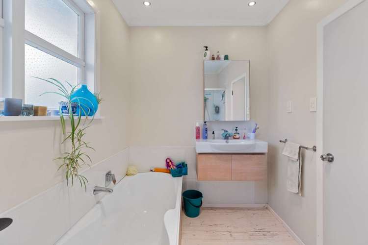 124 Mount View Road Bastia Hill_12