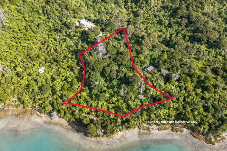 Lots 1 and 5 Nydia Bay Nydia Bay_31