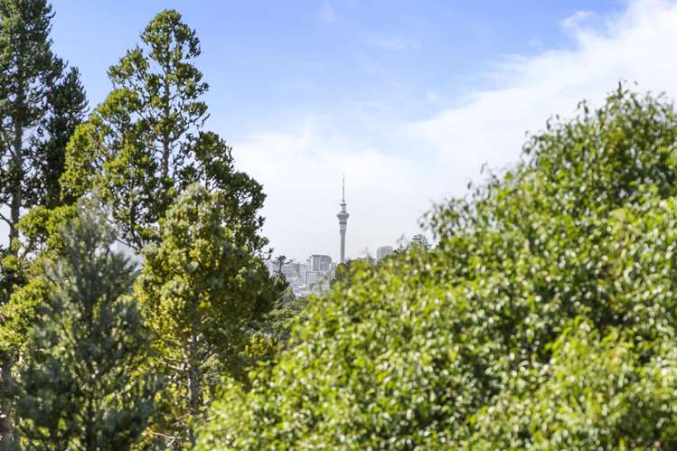 10 Harper Street Chatswood_8