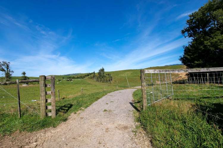 530 Soldiers Road Lower Kaimai_5