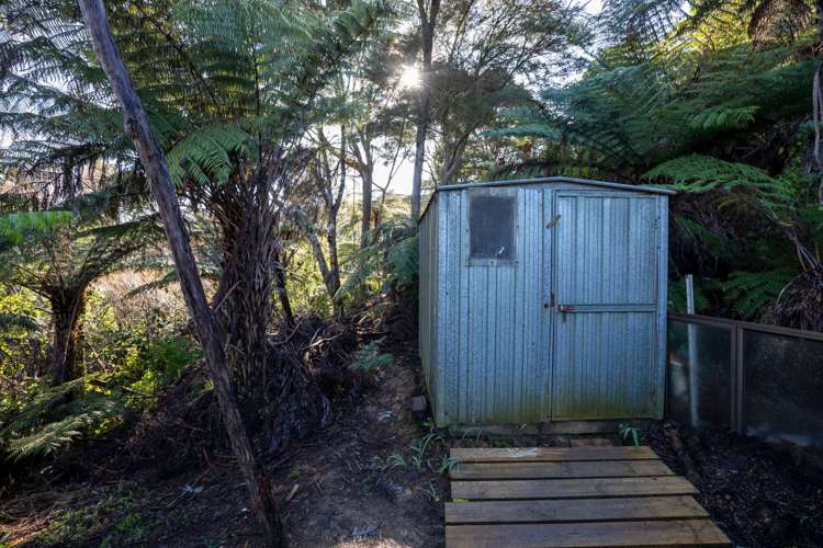 225b Driving Creek Road Coromandel_12