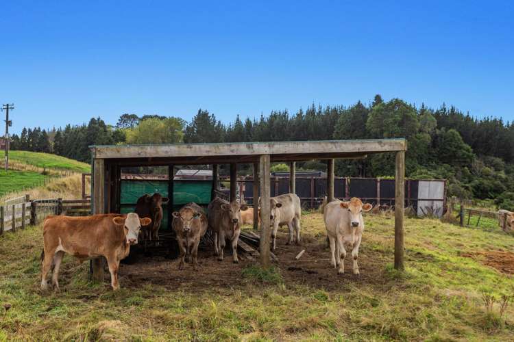 1207C Stanley Road Whakatane_14