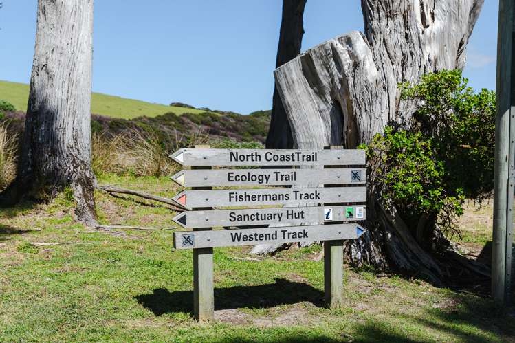 245 Matakana Road Warkworth_14