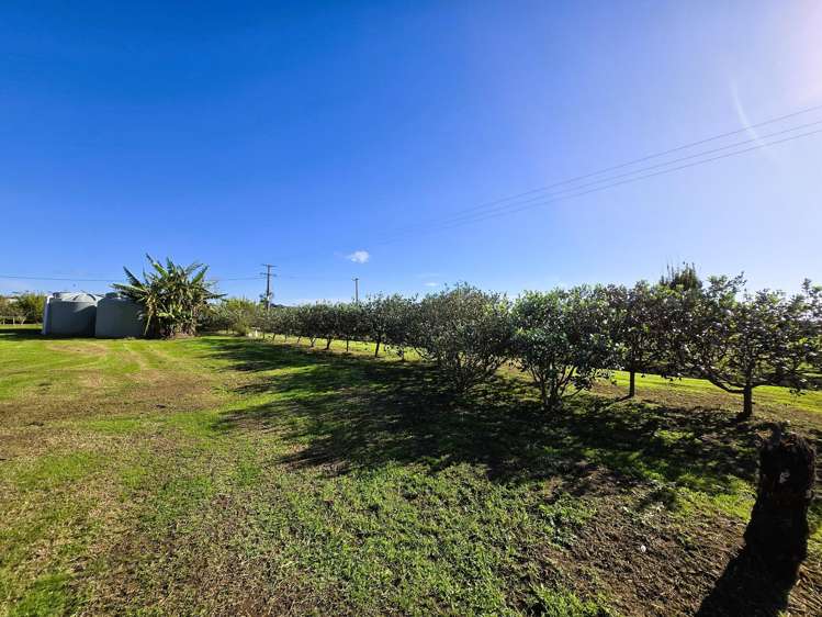 5 Church Street Dargaville_18