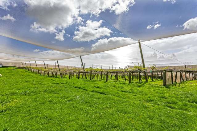 231 Walford Road Aongatete_2