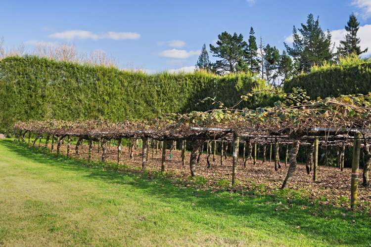 11 Gill Lane Te Puna_13