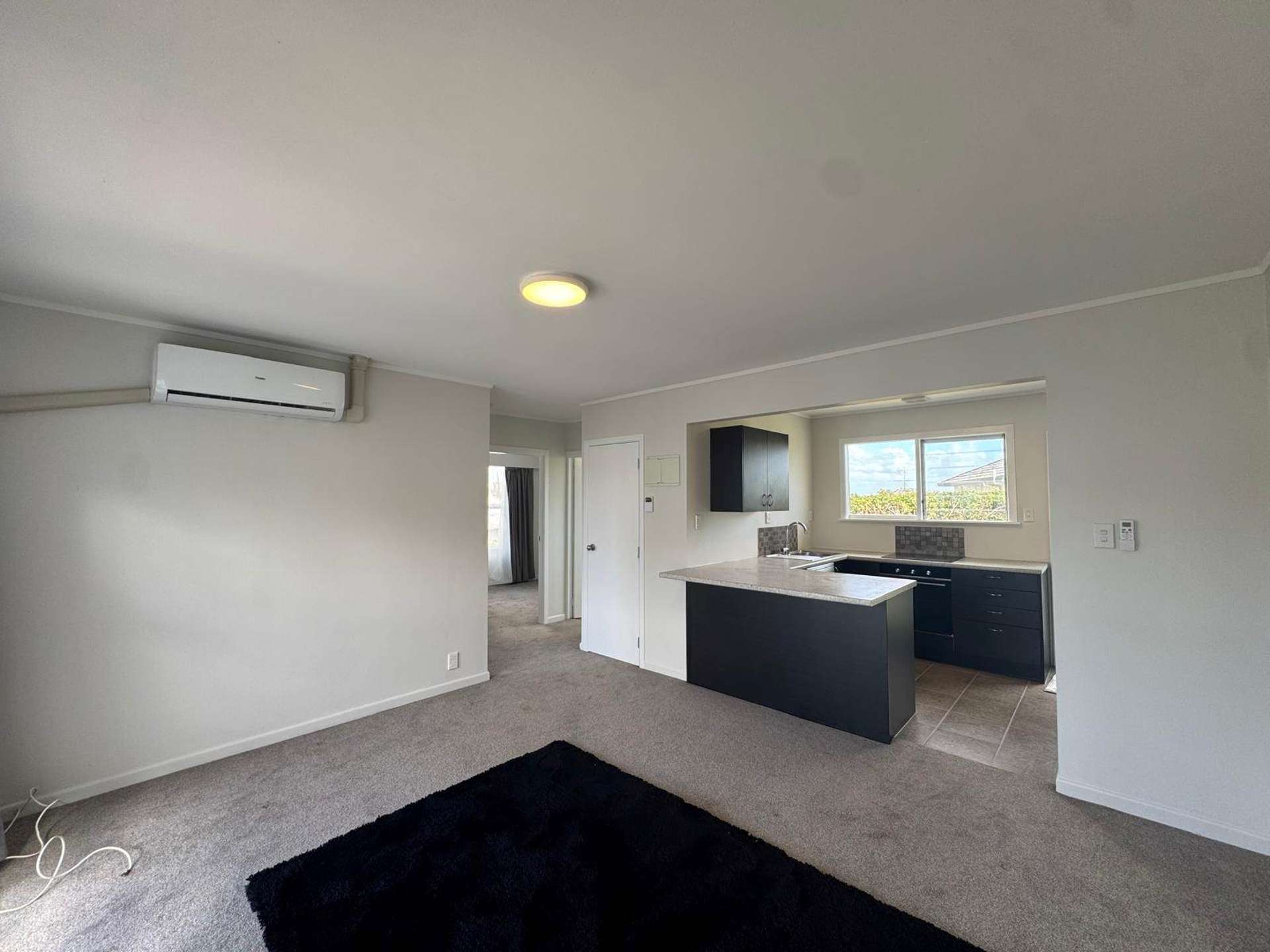 9/65 Mays Road Onehunga_0