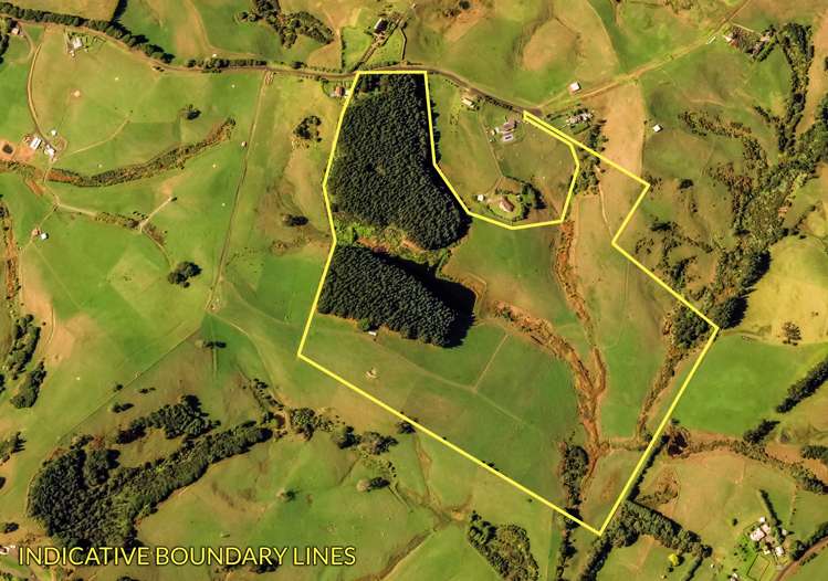 136 Valley Road Waitoki_6