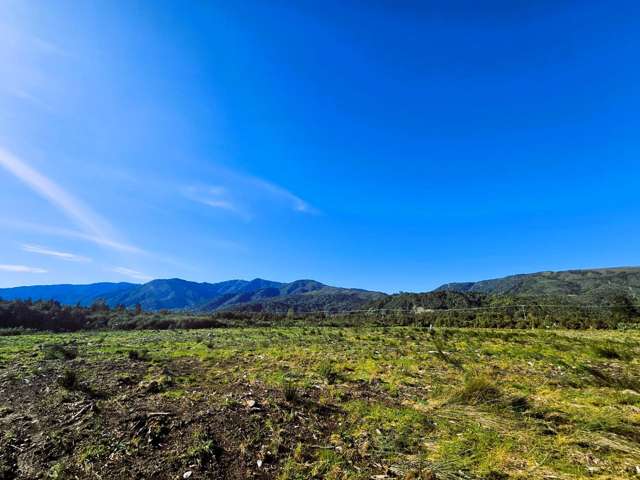 From paddock to possiblities