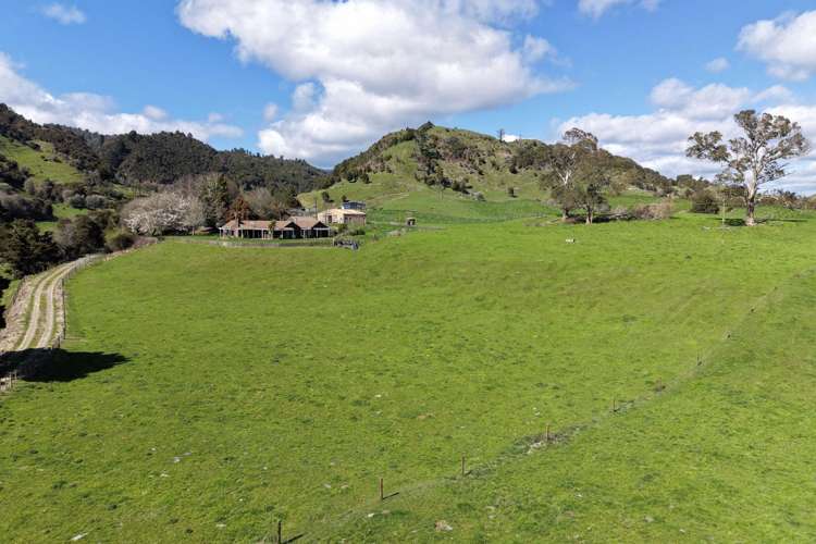 283 Minginui Road Galatea_20