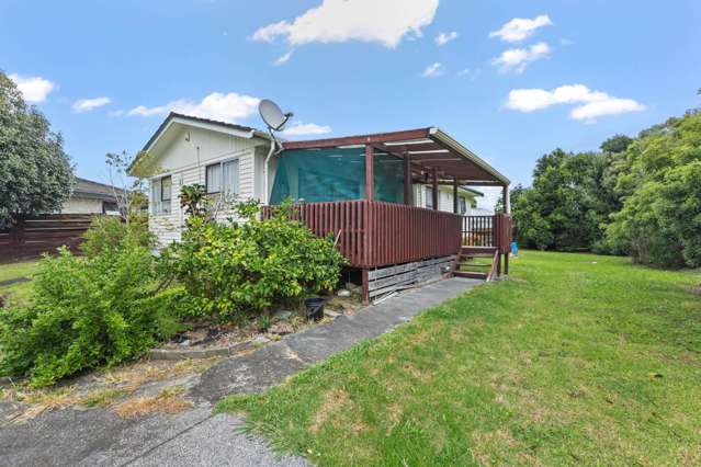 313 Roscommon Road Clendon Park_1