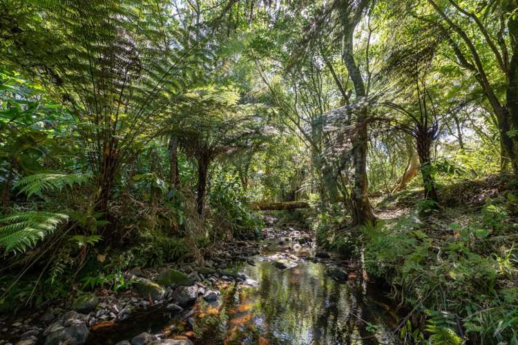 210F Kerikeri Inlet Road Kerikeri_34