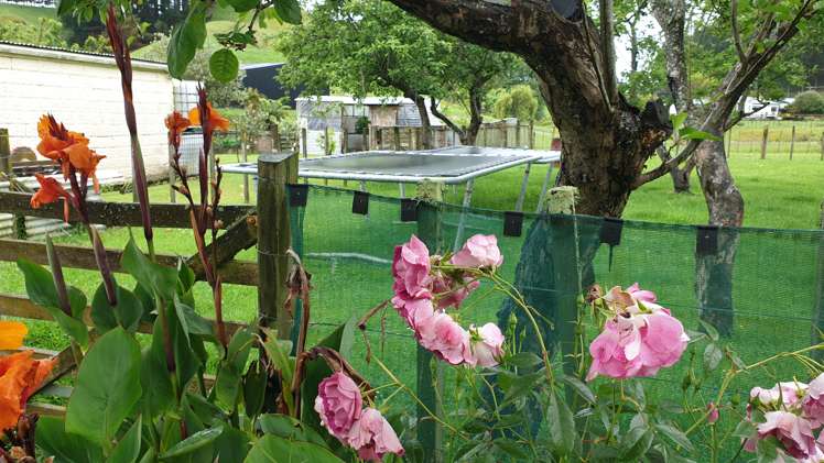 13 Concord Line Kaitoke_17