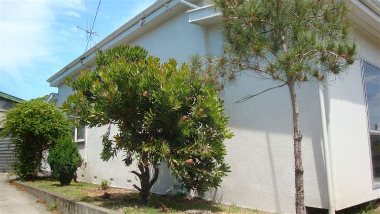 36 William Street Parkside_21