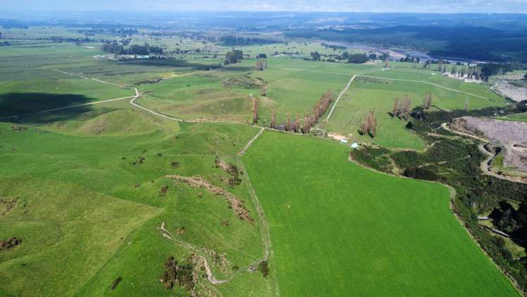 3931 Galatea Road Murupara Surrounds_22