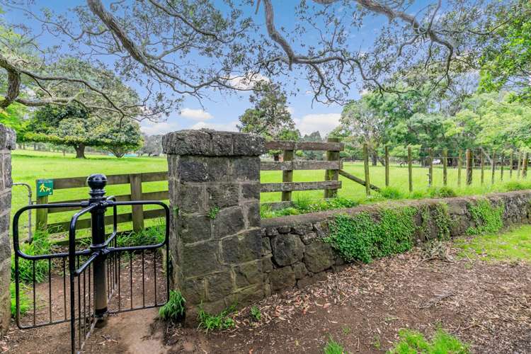 3/52 Turama Road Royal Oak_18