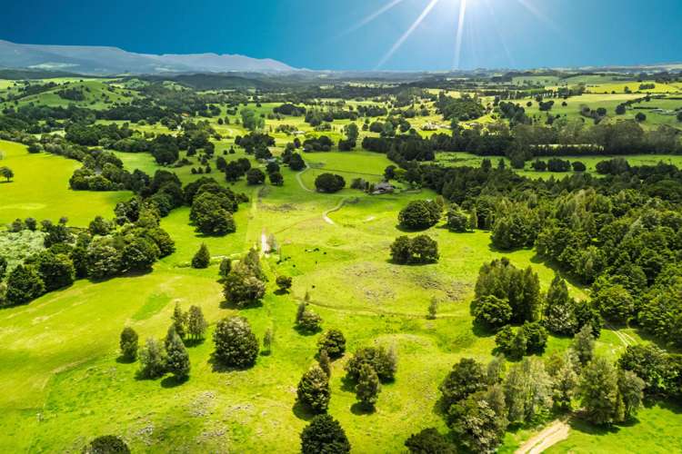 509B Mataraua Road Kaikohe_47