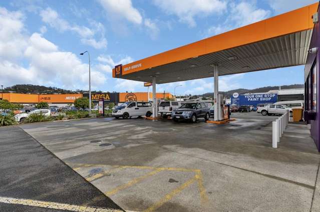 47 Porowini Ave Whangarei_4