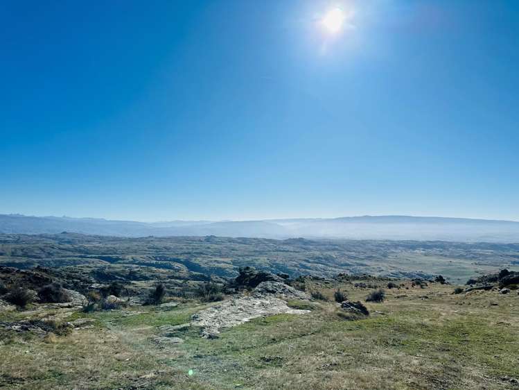 1109 Little Valley Road Alexandra_6