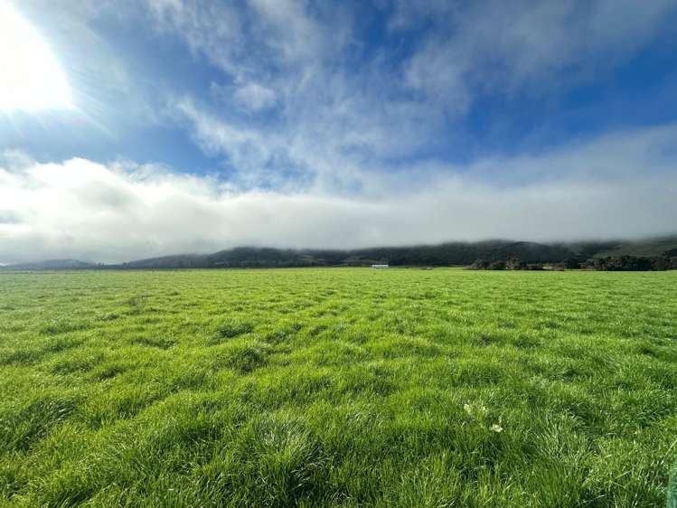 2434 State Highway 65 Maruia_20